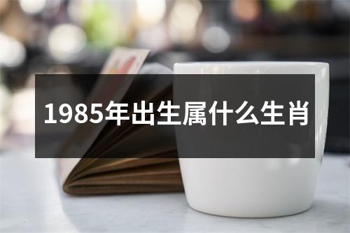 1985年出生属什么生肖