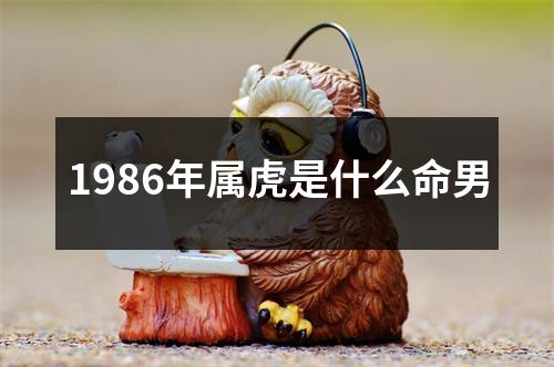 1986年属虎是什么命男