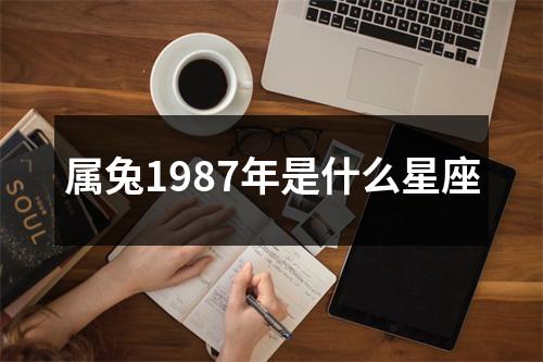 属兔1987年是什么星座