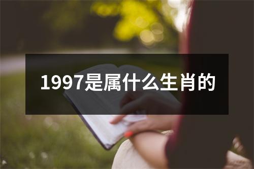 1997是属什么生肖的