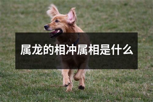 属龙的相冲属相是什么