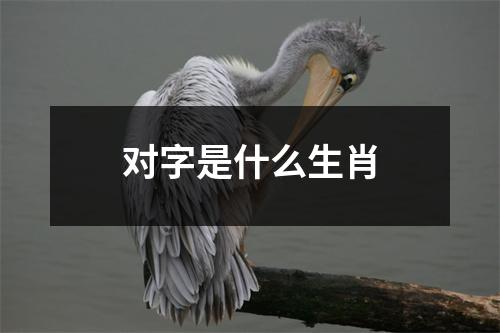 对字是什么生肖