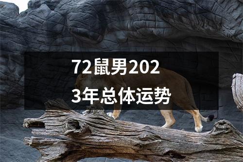 72鼠男2023年总体运势