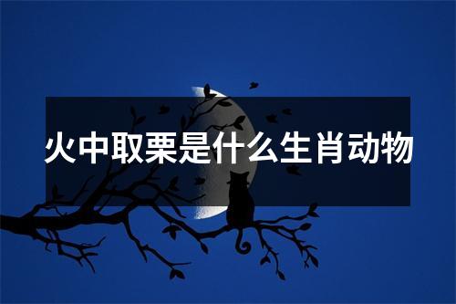 火中取栗是什么生肖动物