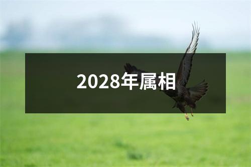 2028年属相