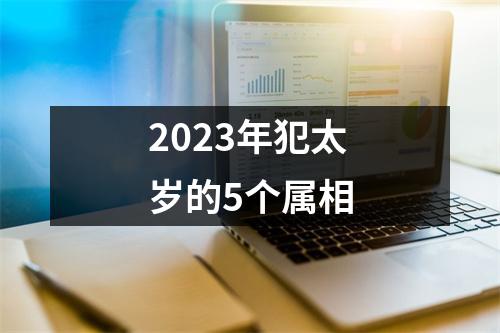 2023年犯太岁的5个属相