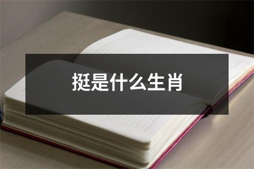 挺是什么生肖