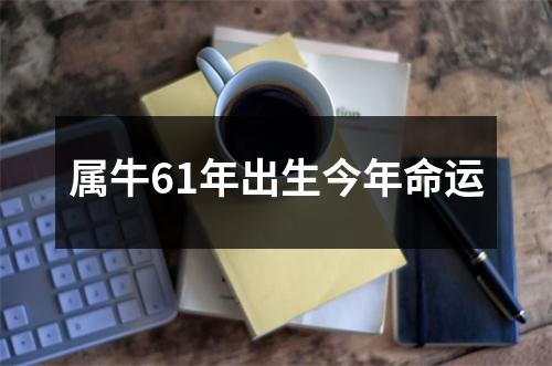 属牛61年出生今年命运