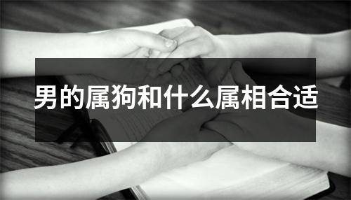 男的属狗和什么属相合适