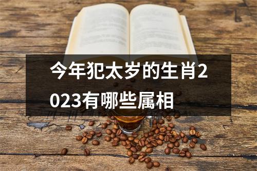 今年犯太岁的生肖2023有哪些属相