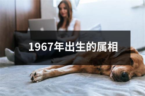 1967年出生的属相