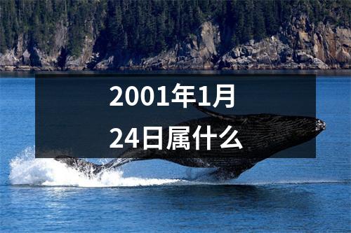 2001年1月24日属什么