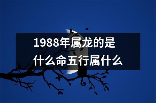 1988年属龙的是什么命五行属什么