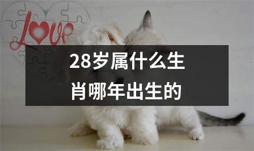 28岁属什么生肖哪年出生的