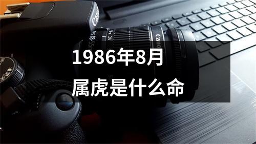 1986年8月属虎是什么命