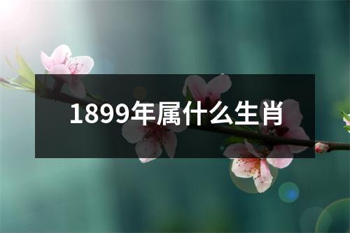 1899年属什么生肖