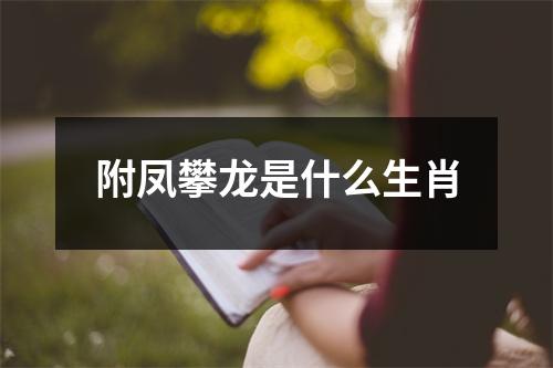 附凤攀龙是什么生肖