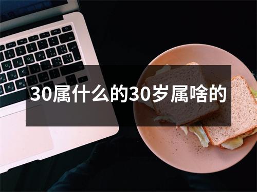 30属什么的30岁属啥的