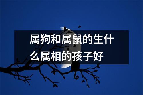 属狗和属鼠的生什么属相的孩子好