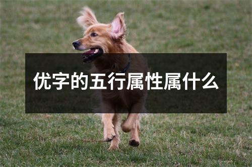 优字的五行属性属什么