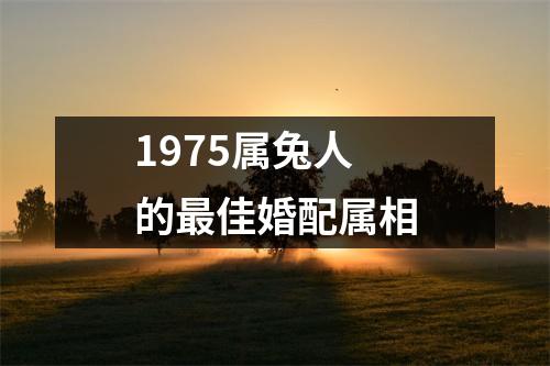 1975属兔人的最佳婚配属相