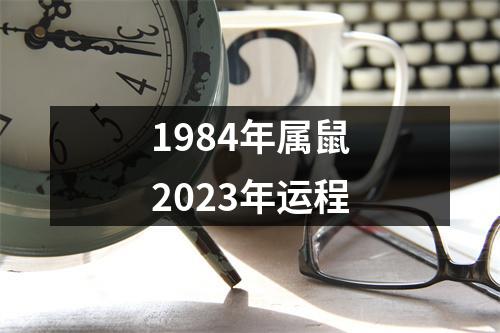 1984年属鼠2023年运程