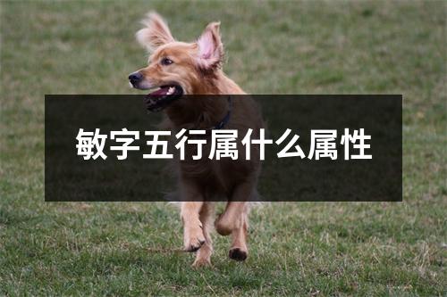 敏字五行属什么属性