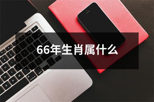 66年生肖属什么