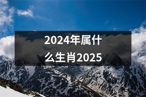 2024年属什么生肖2025