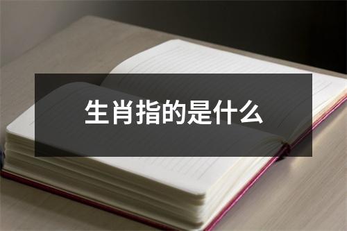 生肖指的是什么