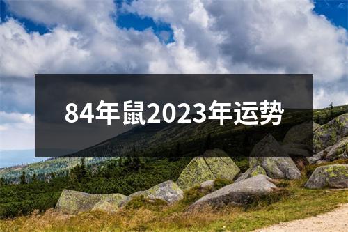 84年鼠2023年运势