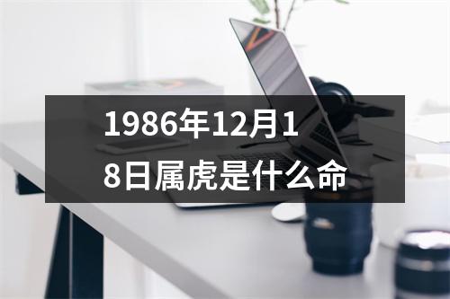 1986年12月18日属虎是什么命