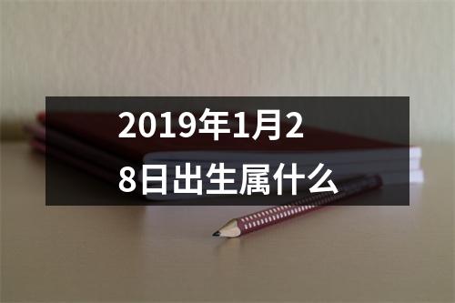 2019年1月28日出生属什么