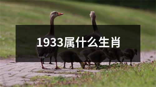 1933属什么生肖