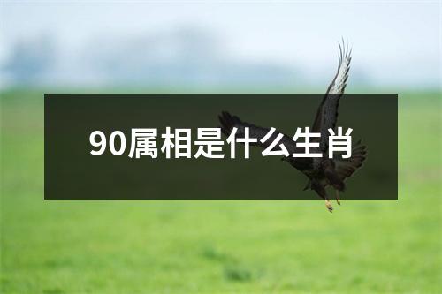 90属相是什么生肖