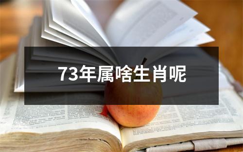 73年属啥生肖呢