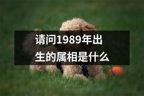 请问1989年出生的属相是什么