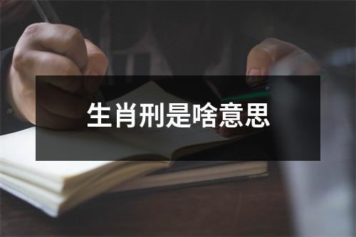 生肖刑是啥意思