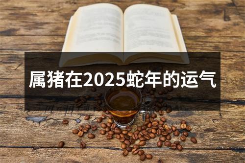 属猪在2025蛇年的运气