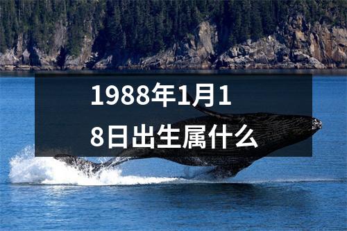 1988年1月18日出生属什么