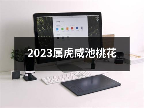 2023属虎咸池桃花