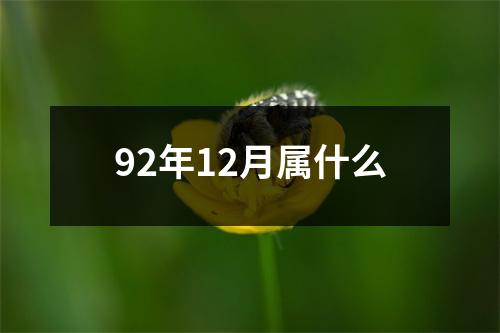 92年12月属什么