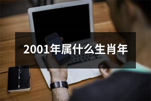 2001年属什么生肖年