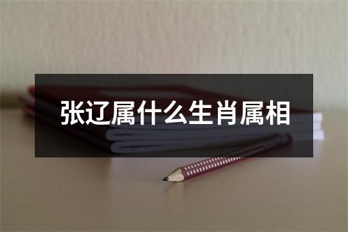 张辽属什么生肖属相