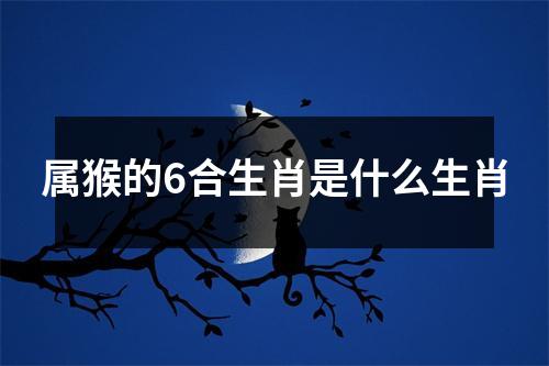 属猴的6合生肖是什么生肖