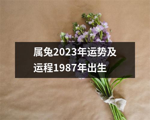 属兔2023年运势及运程1987年出生