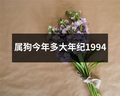 属狗今年多大年纪1994