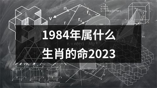 1984年属什么生肖的命2023