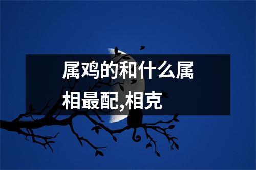 属鸡的和什么属相最配,相克