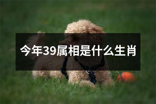 今年39属相是什么生肖